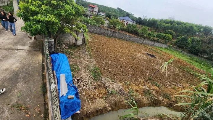 Bất động sản tại Bắc Giang - ảnh 1