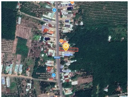 Bất động sản tại Bình Dương - ảnh 1