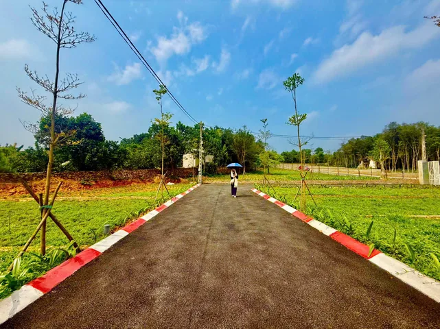 Bất động sản tại Phú Thọ - ảnh 1