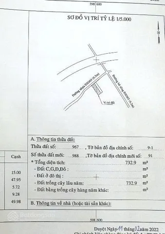 Bất động sản tại Bình Dương - ảnh 1