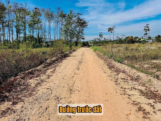 Bất động sản tại Đắk Lắk - ảnh 1