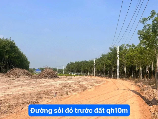 Bất động sản tại Bình Dương - ảnh 1