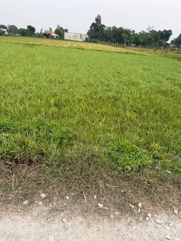 Bất động sản tại Tây Ninh - ảnh 1