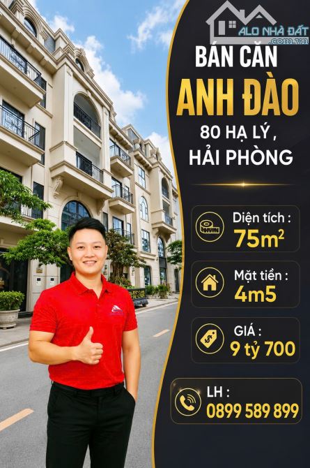 Bất động sản tại Hải Phòng - ảnh 1