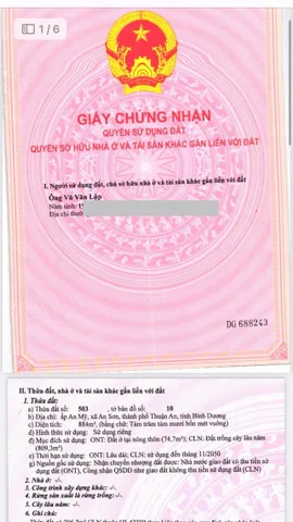 Bất động sản tại Bình Dương - ảnh 1