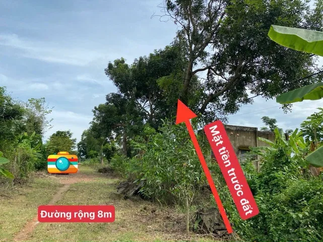 Bất động sản tại Lâm Đồng - ảnh 1