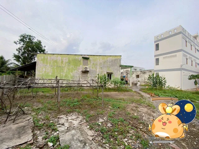 Bất động sản tại Tiền Giang - ảnh 1