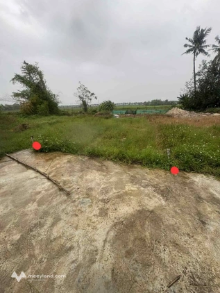 Bất động sản tại Đà Nẵng - ảnh 1