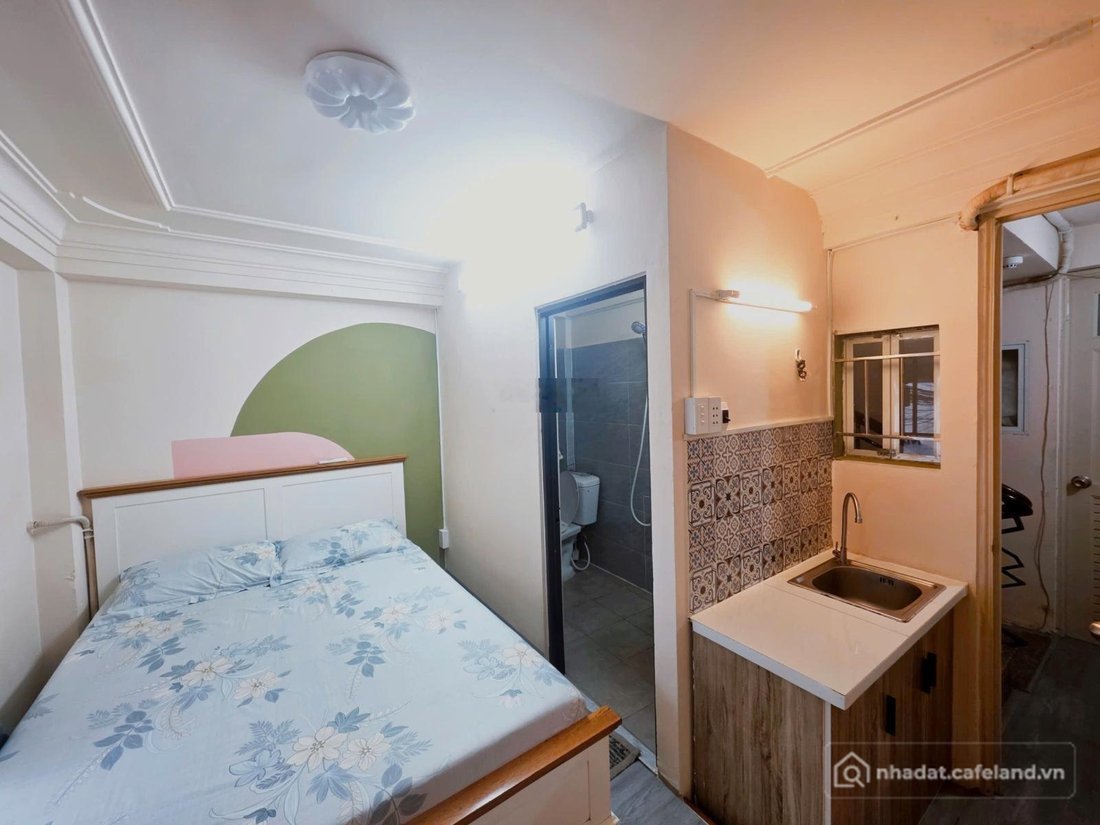 Bất động sản tại TP. Hồ Chí Minh - ảnh 1