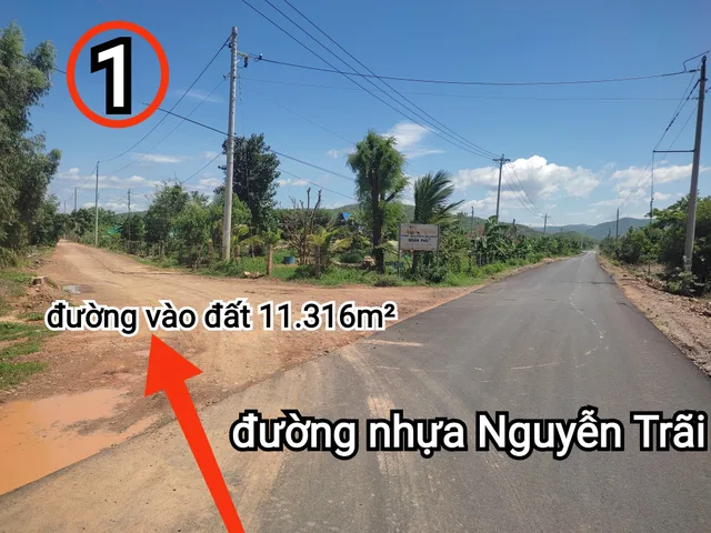 Bất động sản tại Lâm Đồng - ảnh 1