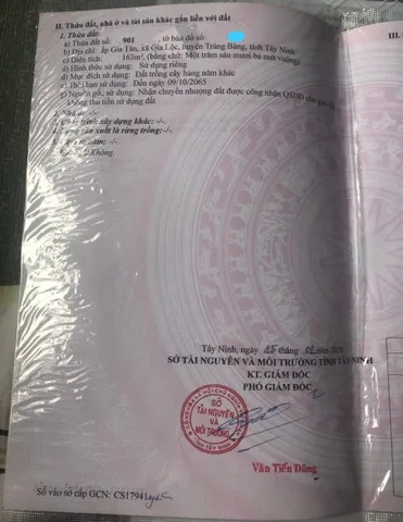 Bất động sản tại Tây Ninh - ảnh 1