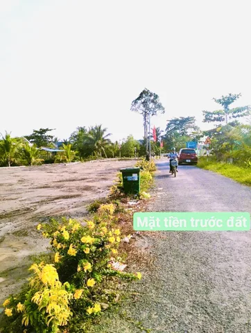 Bất động sản tại Vĩnh Long - ảnh 1