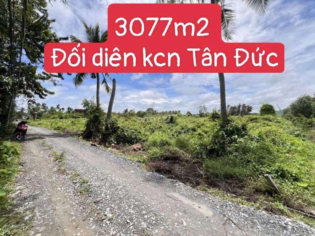 Bất động sản tại Long An - ảnh 1