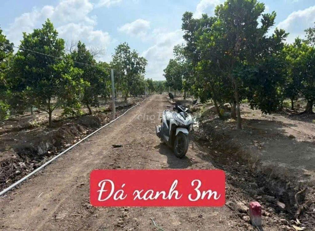 Bất động sản tại Long An - ảnh 1