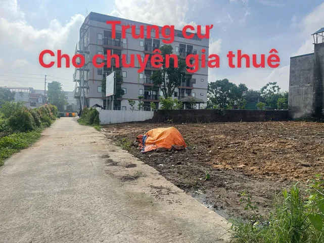 Bất động sản tại Phú Thọ - ảnh 1