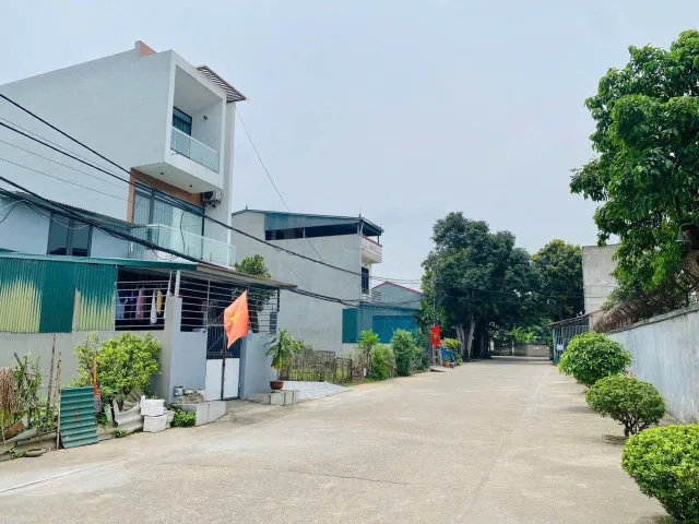 Bất động sản tại Phú Thọ - ảnh 1