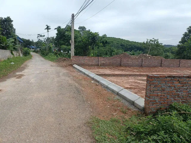 Bất động sản tại Phú Thọ - ảnh 1