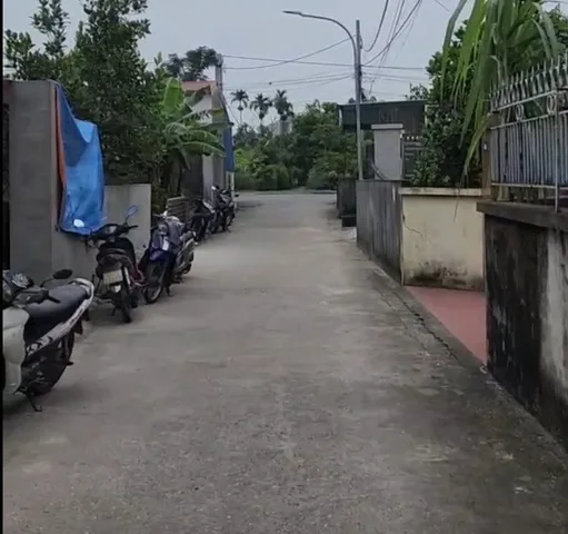 Bất động sản tại Hải Phòng - ảnh 1