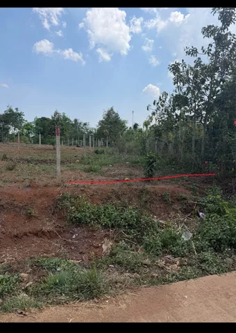 Bất động sản tại Đắk Lắk - ảnh 1