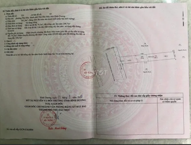 Bất động sản tại Bình Dương - ảnh 1