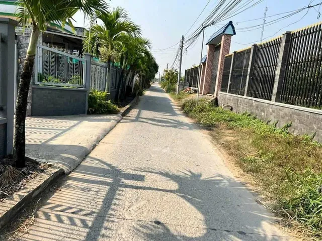Bất động sản tại Long An - ảnh 1