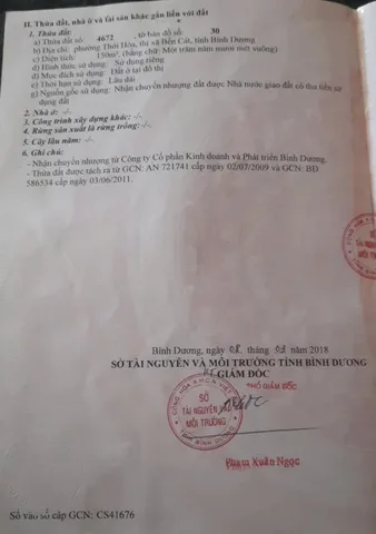 Bất động sản tại Bình Dương - ảnh 1