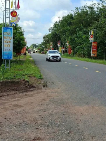 Bất động sản tại Bình Dương - ảnh 1