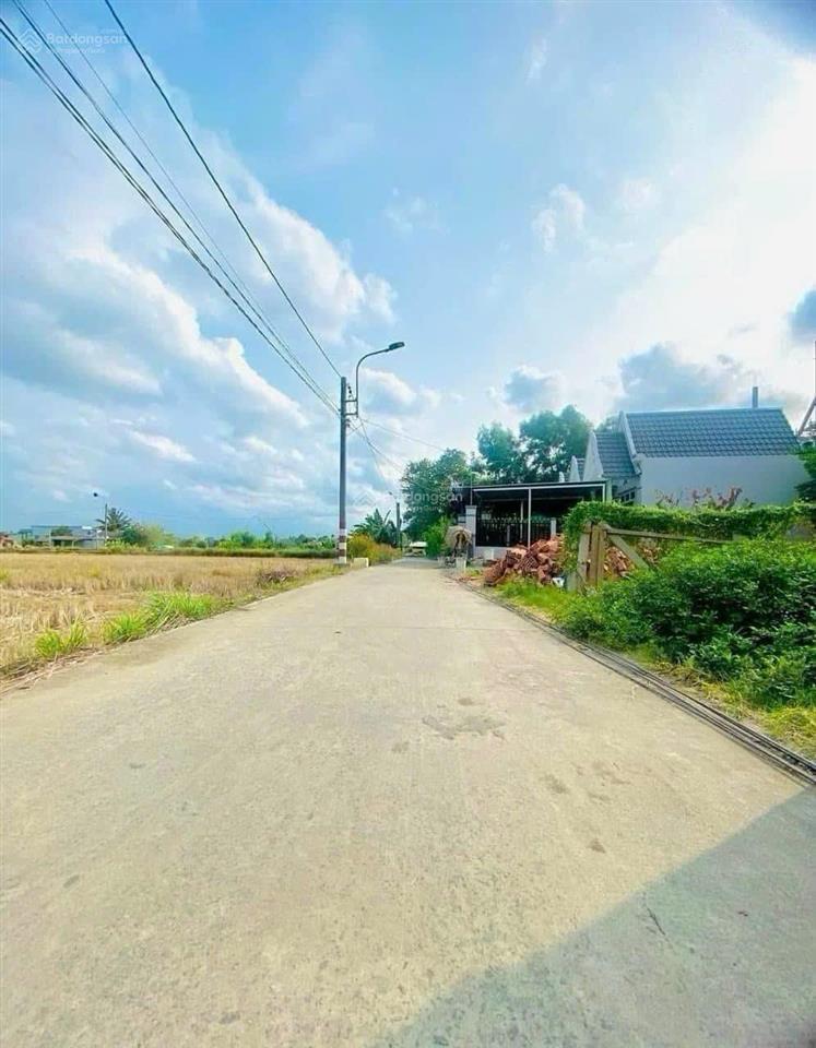Bất động sản tại Long An - ảnh 1