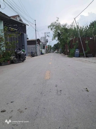 Bất động sản tại Bình Dương - ảnh 1
