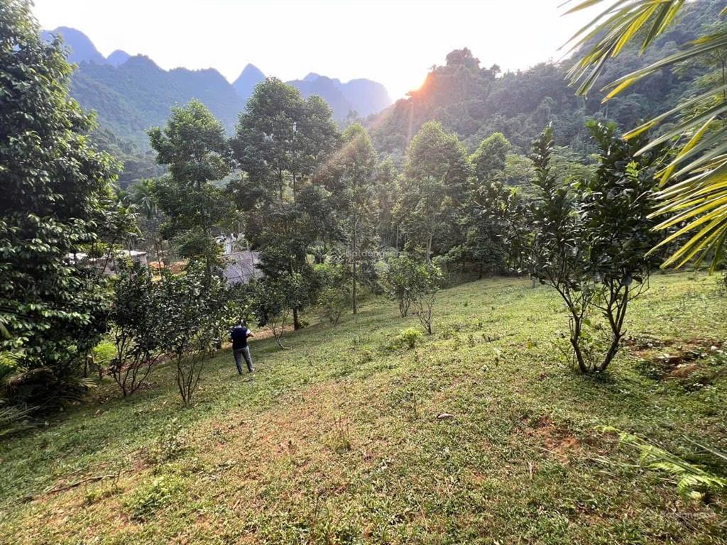Bất động sản tại Hòa Bình - ảnh 1