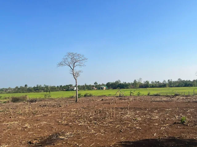 Bất động sản tại Đắk Lắk - ảnh 1