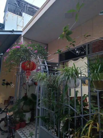 Bất động sản tại Đà Nẵng - ảnh 1