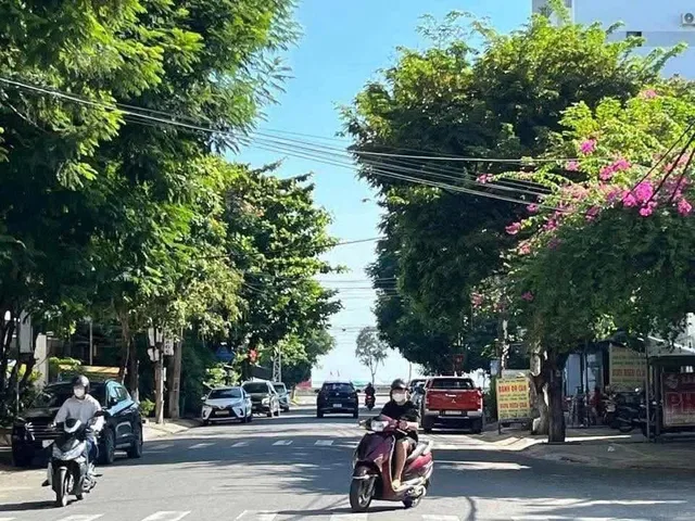 Bất động sản tại Đà Nẵng - ảnh 1