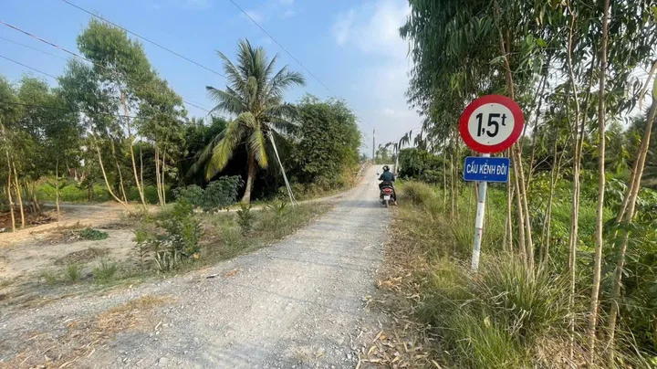 Bất động sản tại Long An - ảnh 1