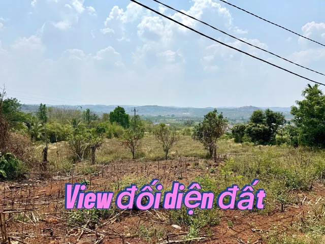 Bất động sản tại Đắk Nông - ảnh 1