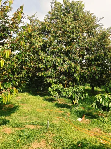 Bất động sản tại Đắk Lắk - ảnh 1