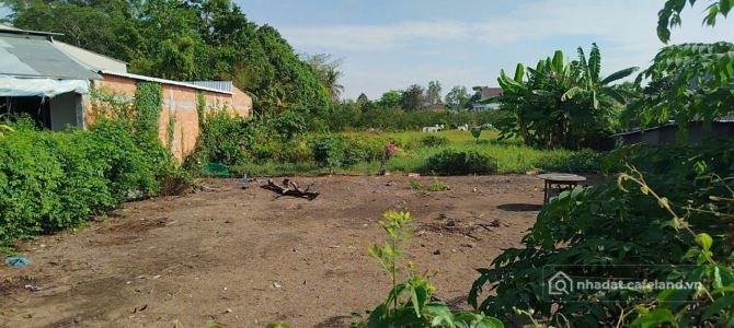 Bất động sản tại Đồng Tháp - ảnh 1