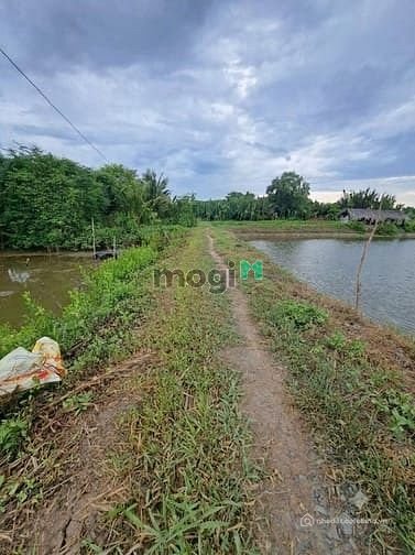 Bất động sản tại Tây Ninh - ảnh 1