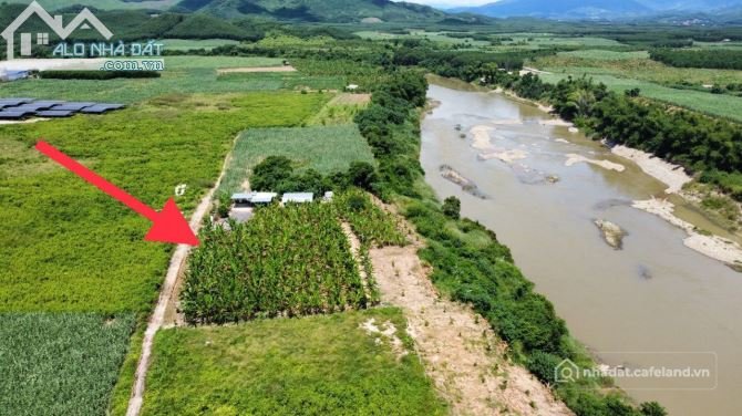 Bất động sản tại Khánh Hòa - ảnh 1