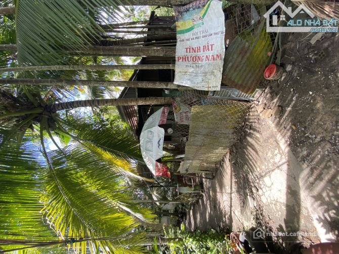 Bất động sản tại Cần Thơ - ảnh 1