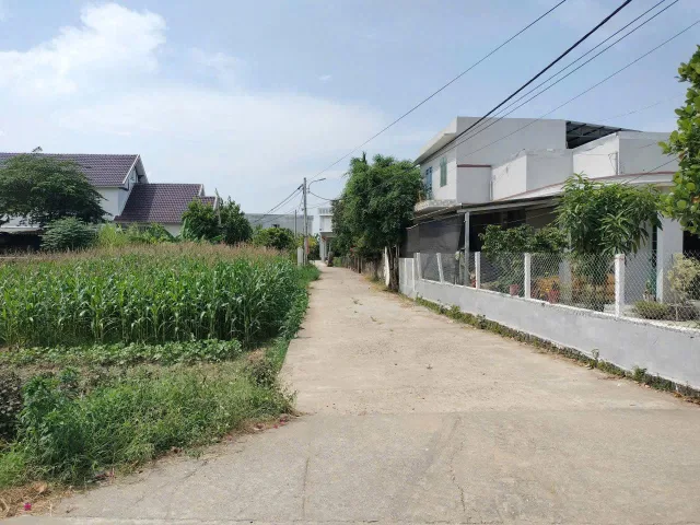 Bất động sản tại Đà Nẵng - ảnh 1