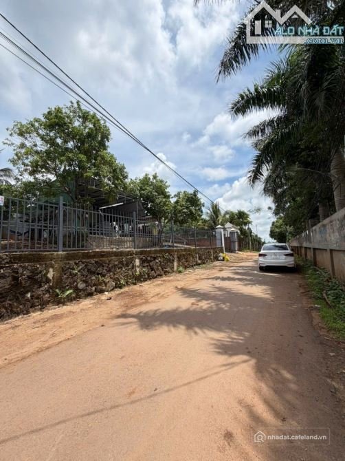 Bất động sản tại Đắk Lắk - ảnh 1