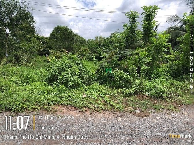 Bất động sản tại TP. Hồ Chí Minh - ảnh 1