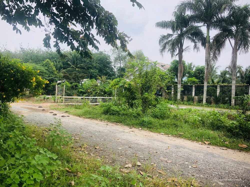 Bất động sản tại TP. Hồ Chí Minh - ảnh 1