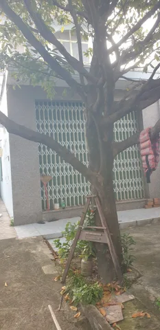Bất động sản tại Khánh Hòa - ảnh 1