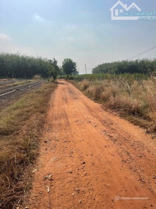 Bất động sản tại Tây Ninh - ảnh 1