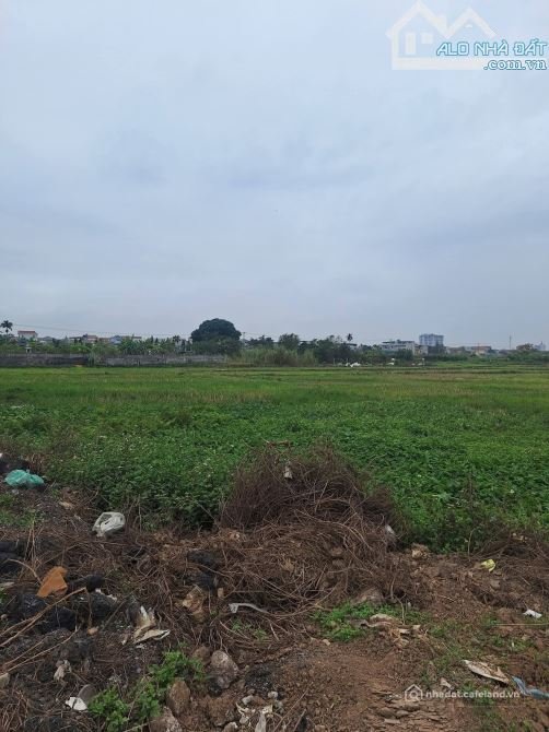 Bất động sản tại Hưng Yên - ảnh 1