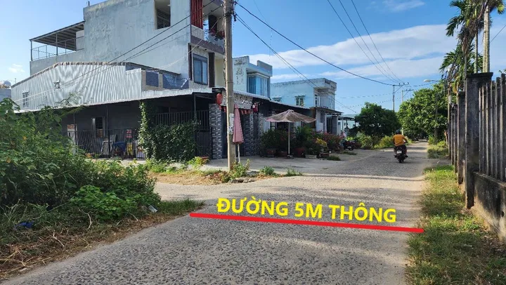 Bất động sản tại Đà Nẵng - ảnh 1