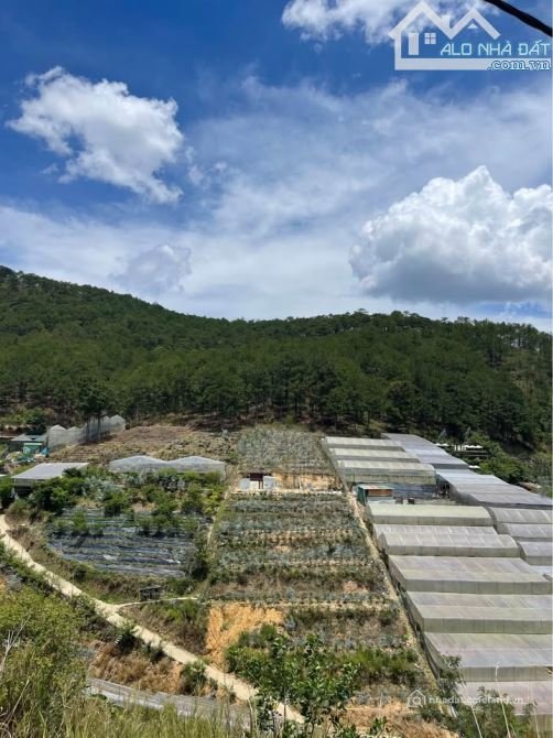 Bất động sản tại Lâm Đồng - ảnh 1