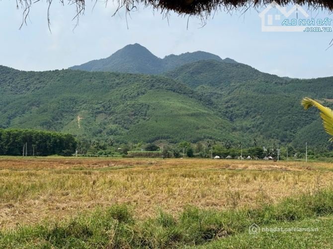 Bất động sản tại Đà Nẵng - ảnh 1